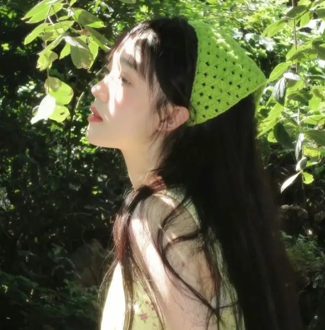 假元首秘纪