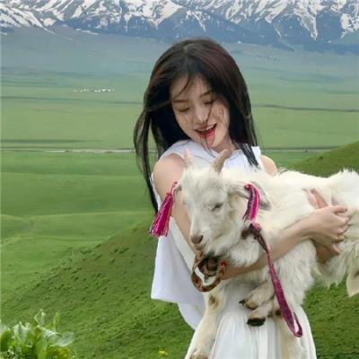 杀人不难剧版
