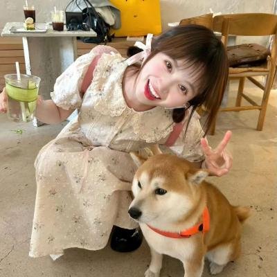 特工绍特